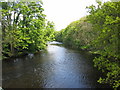 River Wharfe, Nr East Keswick