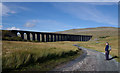 SD7679 : Ribblehead Viaduct by Dave Wheeler
