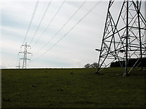 NO6676 : Power Lines in the Howe of the Mearns by John Aldersey-Williams