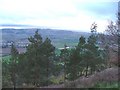 Moncreiffe Hill looking south