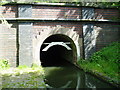 SO9389 : Dudley No.1 Canal Tunnel by Martyn B