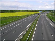 TQ7962 : M2 Motorway in Kent by David Rayner
