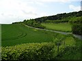 North Downs scarp slope, Kent