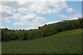 Limekiln Copse and Great Palmers Copse