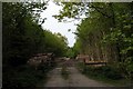 Logging operations at Coombe Hill