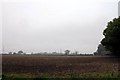 Looking across farmland to Old Ditcham Farm