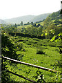 Gated Field off Yeld Lane Kington Looking NW