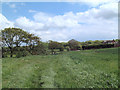 Farmland to the west of Bispham Hall - Billinge