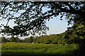 Fordingbridge farmland