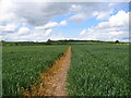 SP3567 : Footpath to Cubbington by David Stowell