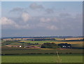 Goodmanham Wold