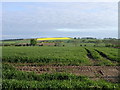 Farmland near Shielhill