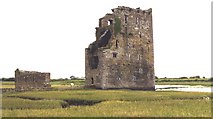 Q9947 : Carrigafoyle Castle by Anne Burgess