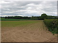 Farm land near Myton Field