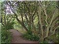 The Itchen Navigation Canal, Bishopstoke