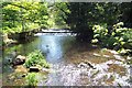 The stream at Longnor