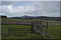 Elrick Croft near Cabrach