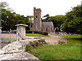 S8710 : Church of Ireland by Pam Brophy