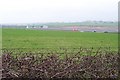 Field at Ogley Hay