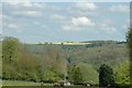 Taken near Brownshill looking SE across the Golden Valley