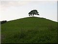 Burrow Hill, near Kingsbury Episcopi