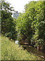 River Brent from Lilburne walk at Tokyngton Recreation Ground