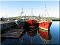 Q4400 : Three Ships: Dingle Harbour by Pam Brophy