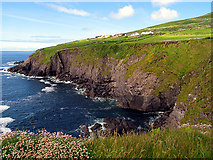 V3497 : Cliffs along the Dingle Way towards Slea Head by Pam Brophy