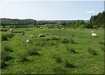 NM8304 : Standing stone near Ardfern, Argyll by J M Briscoe
