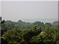 Poole Harbour from Canford Cliffs