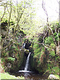 NT9219 : Unnamed waterfall on Harthope Burn by Ray Byrne