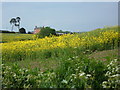 Lodge Farm, Welford, Northants