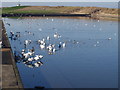 Boating Pool, Fleetwood