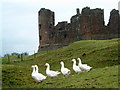 Brough Castle