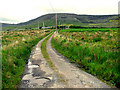 Q4305 : Farm Road near Na Gleannta Theas by Pam Brophy