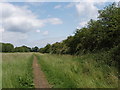 Hillingdon Trail by Ickenham Marsh