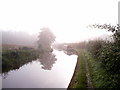 SJ9051 : Early morning sun and mist on the Caldon Canal by Andy Beecroft