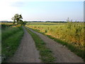 Farm road from Lodge farm to Sulby Abbey