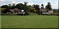 Thatched Dwellings, Kilmington