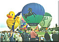 SK8256 : Newark Balloon Fest by Chris Coleman