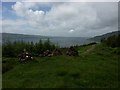 View down Loch Scridain from near Tiroran