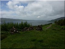 NM4627 : View down Loch Scridain from near Tiroran by J M Briscoe