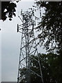 Mobile phone radio mast, near Farnham Common