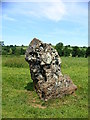 ST5963 : Stanton Drew - Stone circle by bruce
