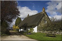 SE6584 : Thatched cottage at Beadlam by Colin Grice