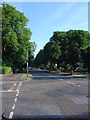 Tree lined street in Sunbury on Thames