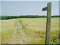 Footpath through the field towards the East