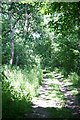 Bridleway leading to Barton Stud