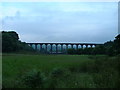 SN8041 : Viaduct on the Heart of Wales Railway by John Phillips