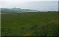 Campbeltown from near Tomaig